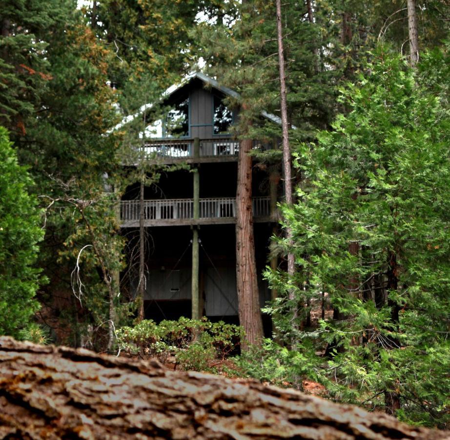 Tree House Lodge 西优胜美地 外观 照片